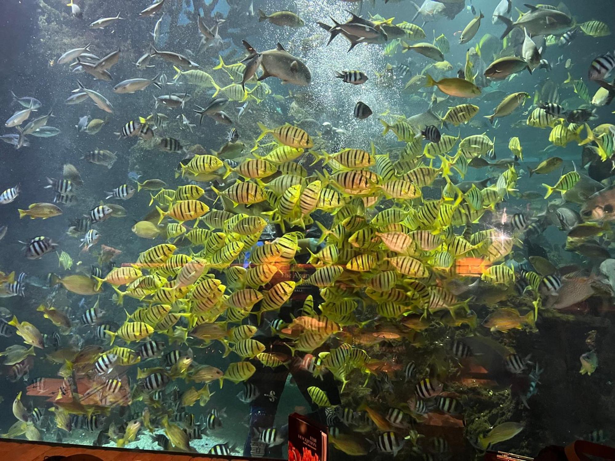 Ungasan Pinokkio B&B Restaurant מראה חיצוני תמונה